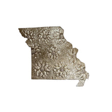 Load image into Gallery viewer, Missouri Floral Metal Art