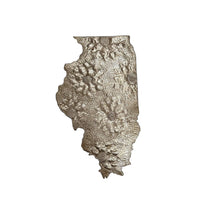 Load image into Gallery viewer, Illionois Floral Metal Art