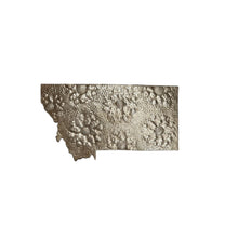 Load image into Gallery viewer, Montana Floral Metal Art