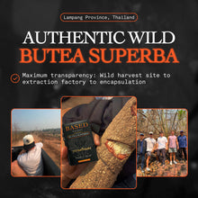Load image into Gallery viewer, Butea Superba