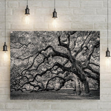 Load image into Gallery viewer, Monochrome Angel Oak Tree Canvas Wall Art