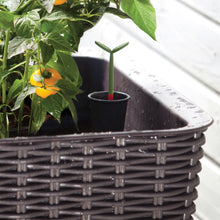 Load image into Gallery viewer, Modern Dark Brown Resin Wicker Raised Garden Bed Planter with Water Indicator