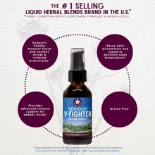 Load image into Gallery viewer, Serious V-Fighter, Immune Force