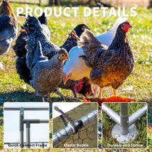 Load image into Gallery viewer, 10-Ft x 6.5-Ft Outdoor Walk-in Metal Chicken Coop with Water-Resistant Cover