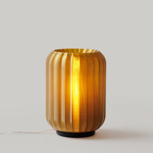 Load image into Gallery viewer, Mini Allium Lamp