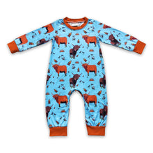 Load image into Gallery viewer, Brown long sleeves cow baby boy western romper