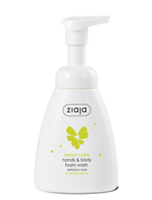 Load image into Gallery viewer, Lemon Cake - Hands &amp; Body Foam Wash - Delicious Skin Care