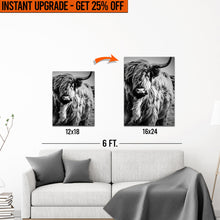 Load image into Gallery viewer, Upgrade Your 18x12 Inches 'Black And White Highland Cow Portrait' Canvas To 16x24 Inches