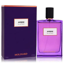 Load image into Gallery viewer, Ambre By Molinard Perfume for Women