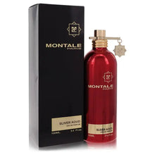 Load image into Gallery viewer, Silver Aoud By Montale Perfume for Women