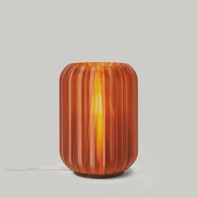 Load image into Gallery viewer, Mini Allium Lamp