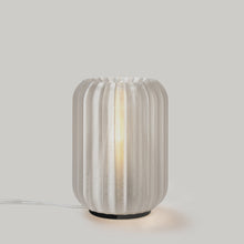 Load image into Gallery viewer, Mini Allium Lamp