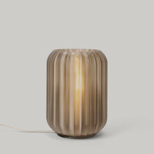 Load image into Gallery viewer, Mini Allium Lamp