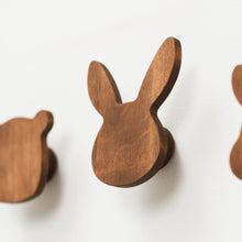Load image into Gallery viewer, Dinosaurs Wall Hooks