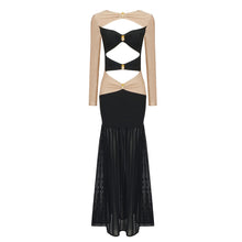 Load image into Gallery viewer, Women Autumn Two Colors Pineapple Decorative Long Sleeve Hollow Out Cutout Out Dress Mesh Semi Transparent Dress