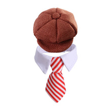 Load image into Gallery viewer, Vintage Flat Cap &amp; Tie Set for Dogs and Cats Gentleman Pet Costume Accessories