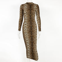Load image into Gallery viewer, Autumn Winter Women Clothing Leopard Print Long Sleeve Sexy Slim Dress