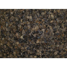 Load image into Gallery viewer, Japanese size 14 x 20 inch Organic Buckwheat Pillow