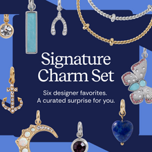 Load image into Gallery viewer, Signature Charm Set