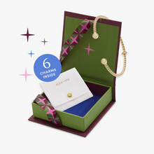 Load image into Gallery viewer, Signature Charm Set