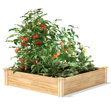 Load image into Gallery viewer, 4ft x 4ft Outdoor Pine Wood Raised Garden Bed Planter Box - Made in USA