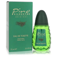 Load image into Gallery viewer, Pino Silvestre By Pino Silvestre Cologne for Men