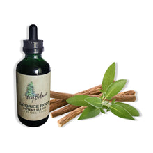 Load image into Gallery viewer, Licorice Root Elixir