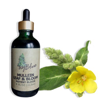 Load image into Gallery viewer, Mullein Leaf &amp; Bloom Elixir