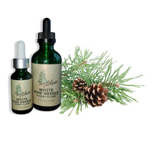 Load image into Gallery viewer, White Pine Needle Elixir