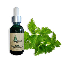 Load image into Gallery viewer, Wild Stinging Nettle Elixir