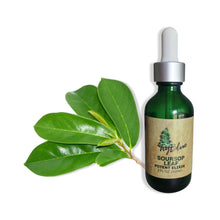 Load image into Gallery viewer, Soursop Leaf Elixir