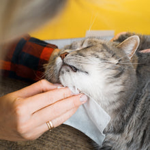 Load image into Gallery viewer, Furry Fresh Pet Wipes - Lavender Scented, 100 Extra Large Wipes