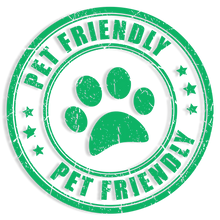Load image into Gallery viewer, Mullein Leaf &amp; Bloom Elixir