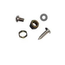 Load image into Gallery viewer, Coleman Lantern &amp; Stove Screws, Nuts, Washers