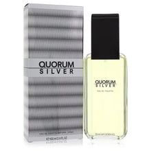 Load image into Gallery viewer, Quorum Silver By Puig Cologne for Men
