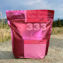 Load image into Gallery viewer, 333 - HalfEvil                       High-Carb Endurance Fuel
