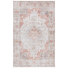 Load image into Gallery viewer, 6 ft. x 9 ft. Traditional Persian Style Washable Boho Light Grey Red Area Rug