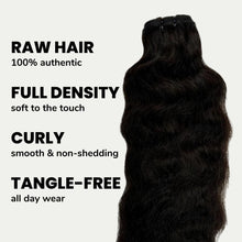Load image into Gallery viewer, Raw Indian Curly 100% Human Hair Bundles