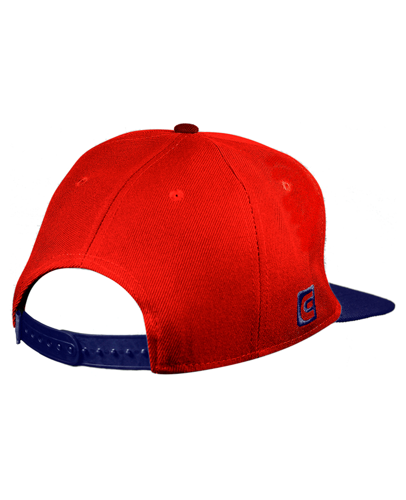 Watch Co Snapback Hat