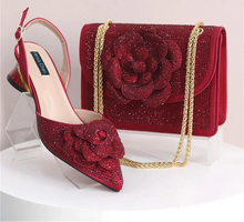 Load image into Gallery viewer, Elegant Lady Shoes And Bag Set with Rhinestone EW4520