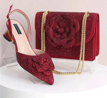 Load image into Gallery viewer, Elegant Lady Shoes And Bag Set EW452