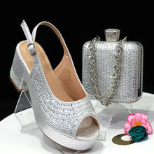 Load image into Gallery viewer, FASHION Women Shoes and Bags To Match Set HAS1-2