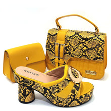 Load image into Gallery viewer, Italian Shoes And Bag Sets HTG1-9