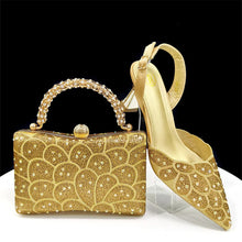 Load image into Gallery viewer, Italian Shoes and Handbags Set EDS5