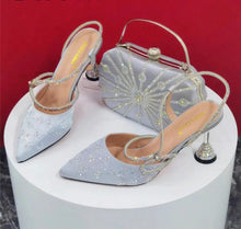 Load image into Gallery viewer, Elegant Pumps with Shoes and Bag Matching Set NFR43