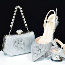 Load image into Gallery viewer, Italian Shoes And Bag Sets For Evening Party HAB1-16