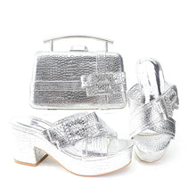 Load image into Gallery viewer, New Shoes And Bag Matching Set HRT1-8