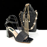 Lastest Ladies Shoes with Matching Bag Set HJJ1-23