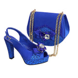Newest Pumps Women High Heels Shoes and Bags Set JNB54