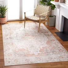 Load image into Gallery viewer, 3 ft. x 5 ft. Traditional Persian Style Washable Boho Light Grey Red Area Rug